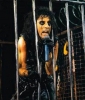 alice cooper picture
