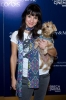 alison becker image