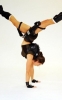 alison carroll image