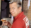 allan melvin picture