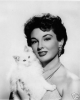 allison hayes pic1