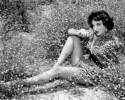 allison hayes picture2