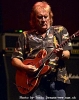 alvin lee photo