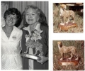 amanda blake pic