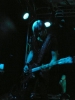 amir derakh picture3