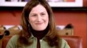 ana gasteyer picture1