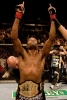 anderson silva image2
