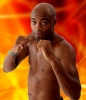 anderson silva photo