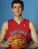 andrea bargnani img