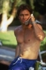 andrew stevens picture4