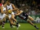andrew walker pic