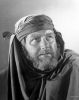 andy devine image2