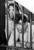 andy devine image3