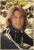 andy gibb image2