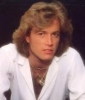 andy gibb photo2
