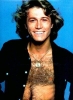 andy gibb pic1