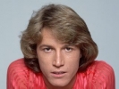 andy gibb picture3
