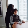 andy samberg image3