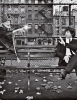 andy samberg picture3