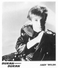 andy taylor pic