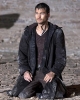 andy whitfield pic