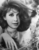 anjanette comer pic