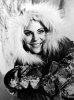 anjanette comer picture1