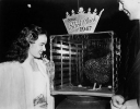 ann blyth image3