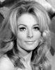ann smyrner picture