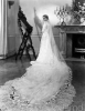 ann todd image1