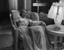 ann todd image2