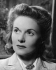 ann todd photo2