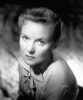ann todd pic