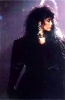 ann wilson image2
