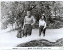 anne archer photo1