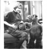anne schedeen image4