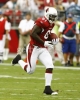 anquan boldin image1