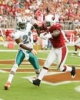 anquan boldin img