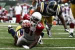 anquan boldin photo1