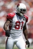 anquan boldin pic