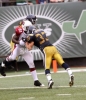 anquan boldin pic1