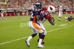 anquan boldin picture