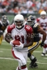 anquan boldin picture3