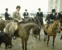 anthony andrews image