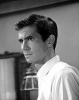 anthony perkins picture4