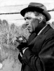 anthony quinn picture4