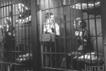 arline judge pic1