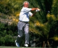 arnold palmer image