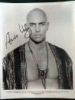 arnold vosloo img