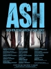ash image3